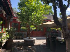 -北京古城老院厉晓麟精致菜