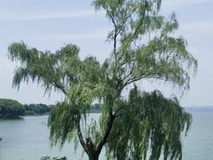 -阳澄湖半岛旅游度假区