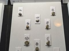 -古陶文明博物馆