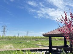 -永定河休闲森林公园