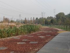 -佛手湖郊野公园