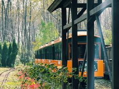 -合肥滨湖国家森林公园