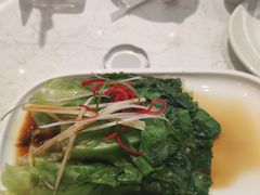 -船歌·鱼水饺青岛菜(国贸商城店)