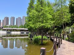 -重庆彩云湖湿地公园