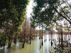 -南宁花花大世界景区