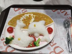 -多元宝贝世界儿童乐园(高新区店)