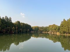 -东湖落雁景区