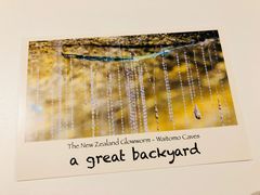 -怀托摩萤火虫洞