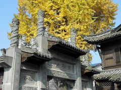 android_upload_pic-崇州市街子古镇