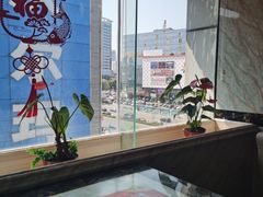 -點無缺茶楼·海鲜酒家(世博店)