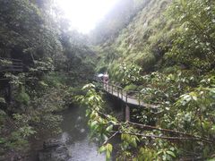 -石台牯牛降景区