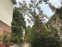 -花水湾第一村温泉大酒店