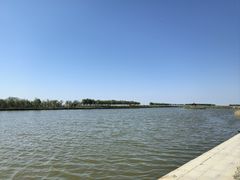 -南大港湿地风景区