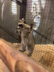 -酷嗒动物文化乐园(cutezoo西溪乐天城店)