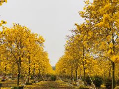 -佛山市三水温泉度假村