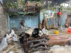 -海南热带野生动植物园