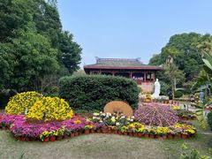 -西湖公园(鼓楼区)