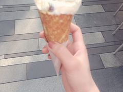 朗姆提子-Luneurs(幸福里店)