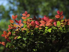 -南京市江宁方山