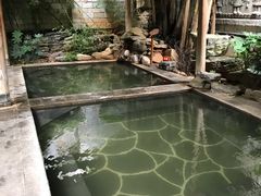 -昆明柏联SPA温泉
