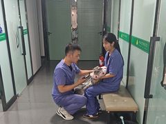 -半岛宠物医院24小时(科华中路店)