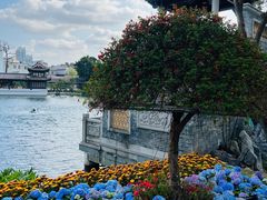 -荔湾湖公园