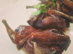红烧乳鸽-黄埔华苑酒家(黄埔总店)