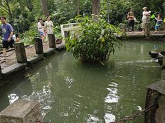 -成都市活水公园