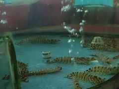 -水底山庄园温泉