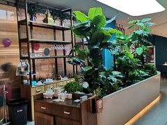 -悦海·家宴·冰花皮皮虾大锅贴(宝龙店)