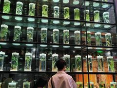 -广东中医药博物馆