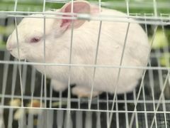 -伊藤洋华堂(高新店)