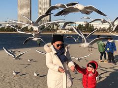 -台场海滨公园船码头