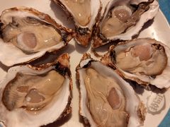 -千岛蚝高压锅生蚝·人参火锅(白云万达店)