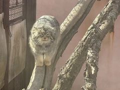 -青藏高原野生动物园