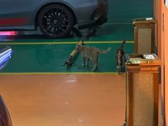 -炳胜公馆(珠江新城店)