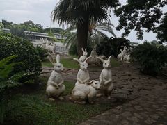 -东芭乐园