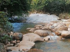 -海南霸王岭国家森林公园