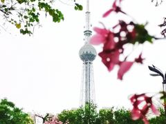 -文华公园(禅城区)