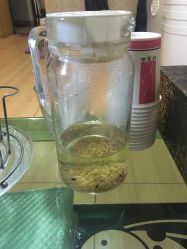 -本真坊美容美体沙龙