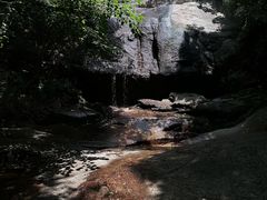 -王顺山国家森林公园
