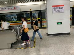 -杨高南路(地铁站)