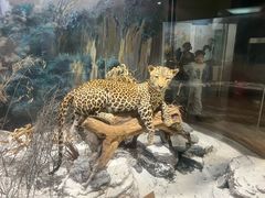 -陕西自然博物馆