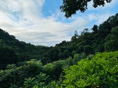 -火炉山森林公园