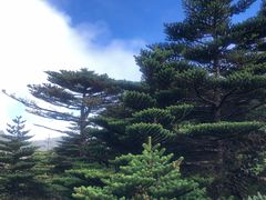 -苍山感通索道