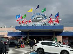 -南纪白浜Toretore市场