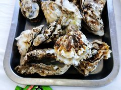 小生蚝-渔民船说·北塘海鲜·天津菜·海肠捞饭(北塘古镇店)