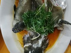 -蚝专家(北滘店)