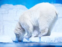 -大连老虎滩海洋公园