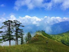 -秦岭天竺山景区